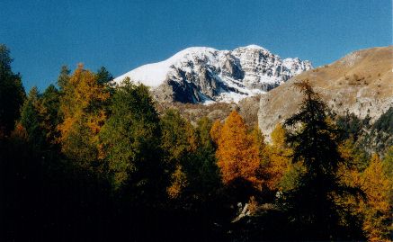Mont Bgo